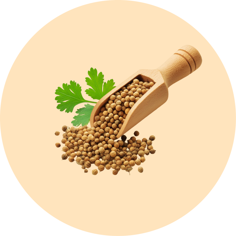 Corriander seed
