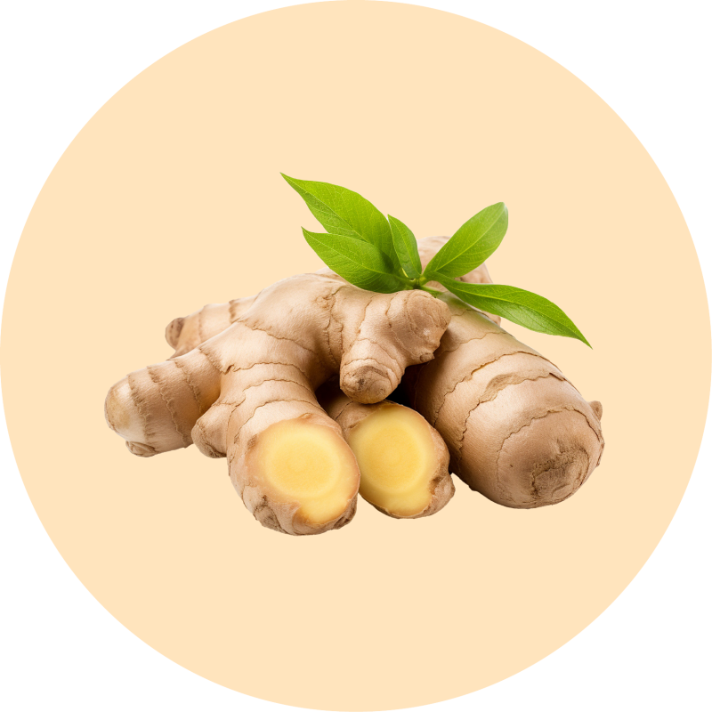 Ginger