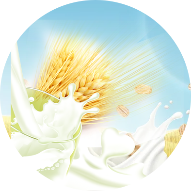 Dairy Alternatives
