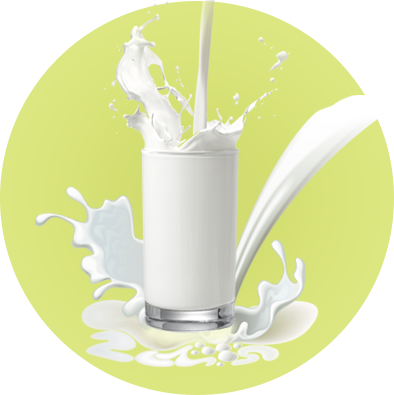 Fresh Milk